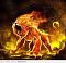 ♦♦♦LION♦♦♦'s Avatar