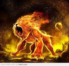 ♦♦♦LION♦♦♦'s Avatar